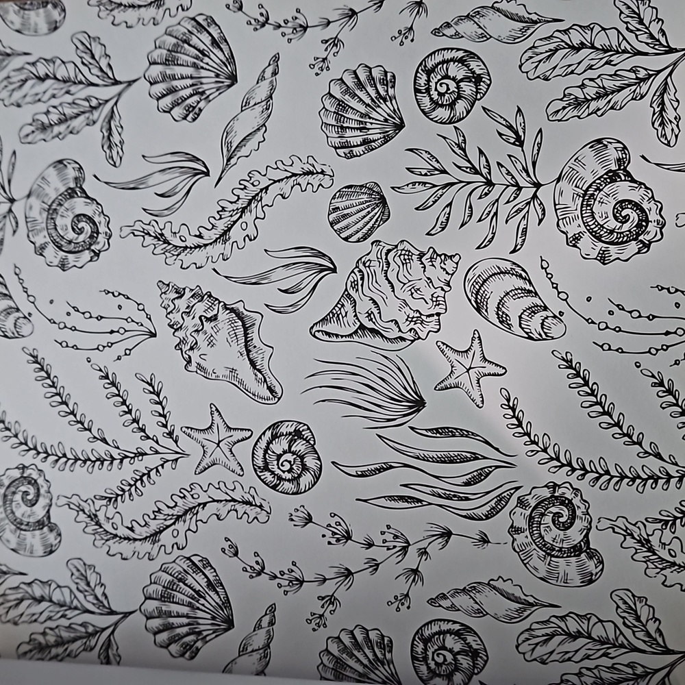 Coloring Book - Picture 9 of 16
